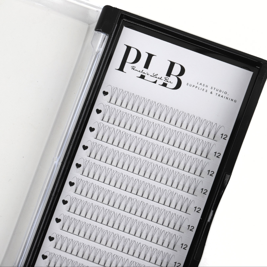 3D D Curl 0.07 Pre-made Lash Tray